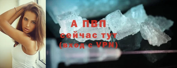 СК Армянск