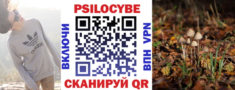 Галлюциногенные грибы Psilocybe  ссылка на мегу онион  Кологрив 